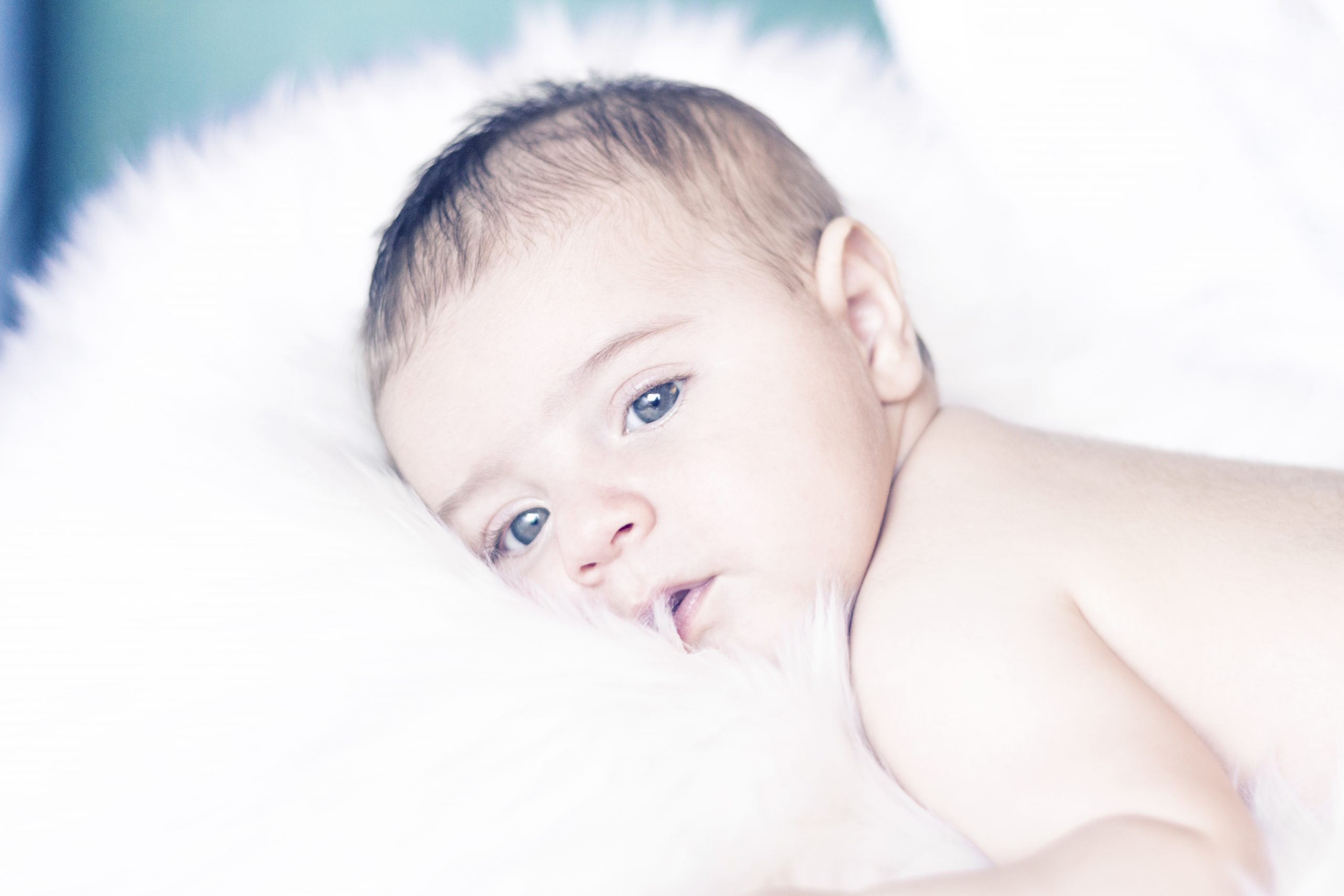 Servicio de fotografía profesional de Bebés-Recién nacido - SERGIO DIAZ MACIAS